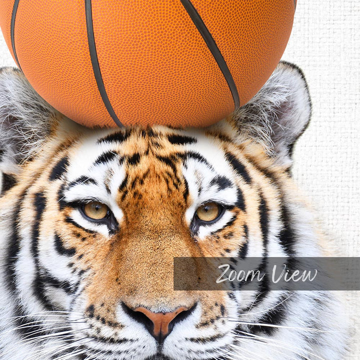 Tiger Basketball