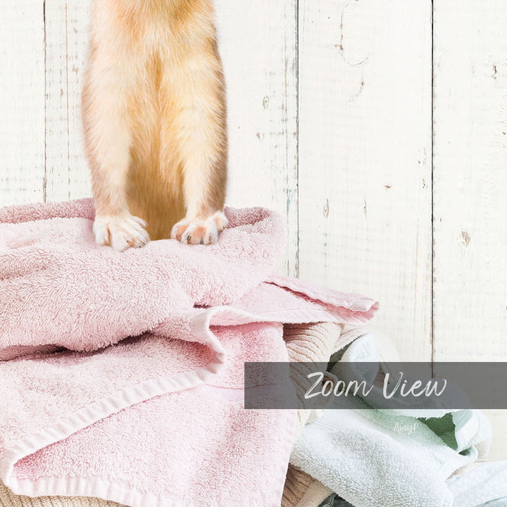 Weasel Clothes Pile - Farmhouse Wall