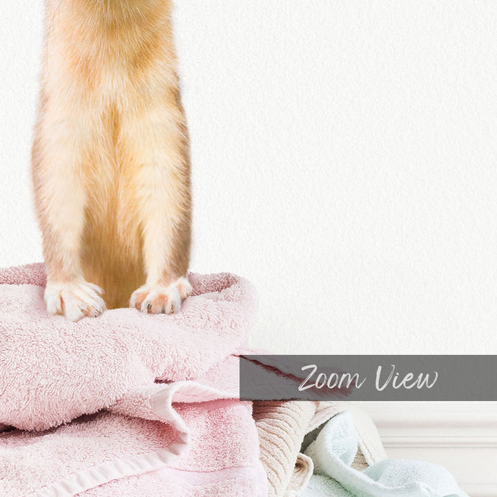 Weasel Clothes Pile - Simple White Wall