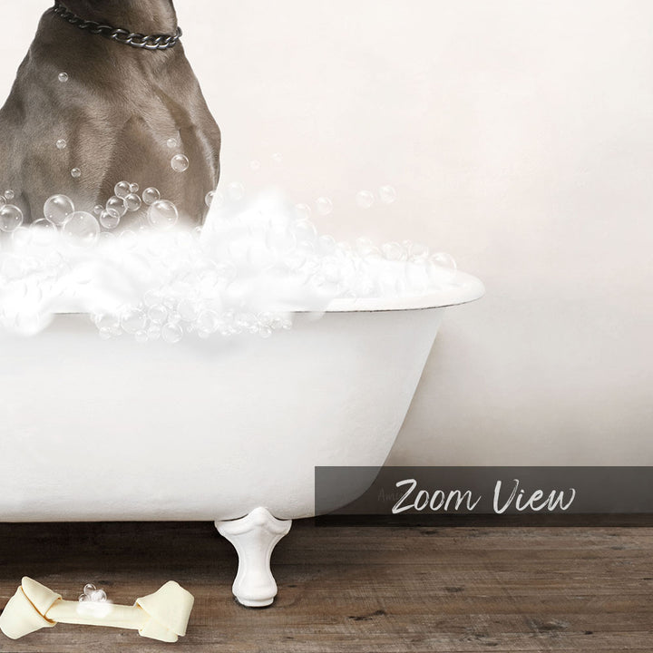 Weimaraner in Rustic Bath Style Lots of Foamy Bubbles