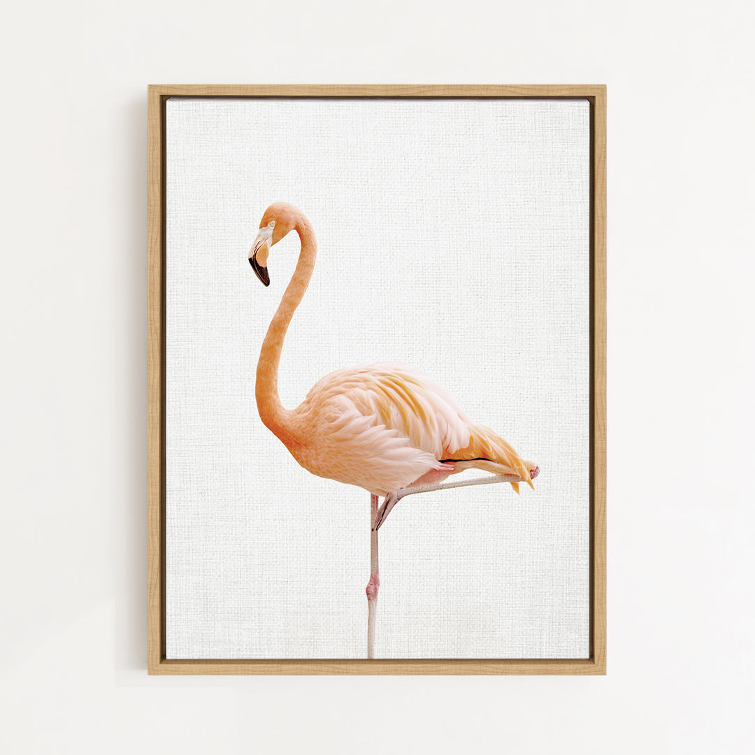 A framed image of a flamingo standing on one leg against a white background.