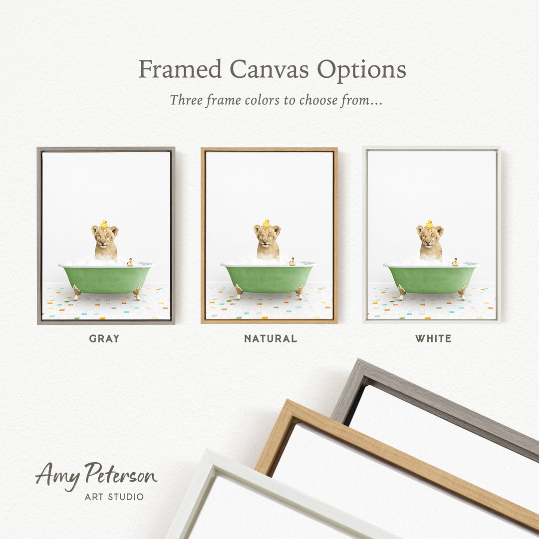 three framed canvas options, each featuring a different color and frame style. The options include a gray frame, a natural frame, and a white frame. The text above the options reads " Framed Canvas Options Three frame colors to choose from...".