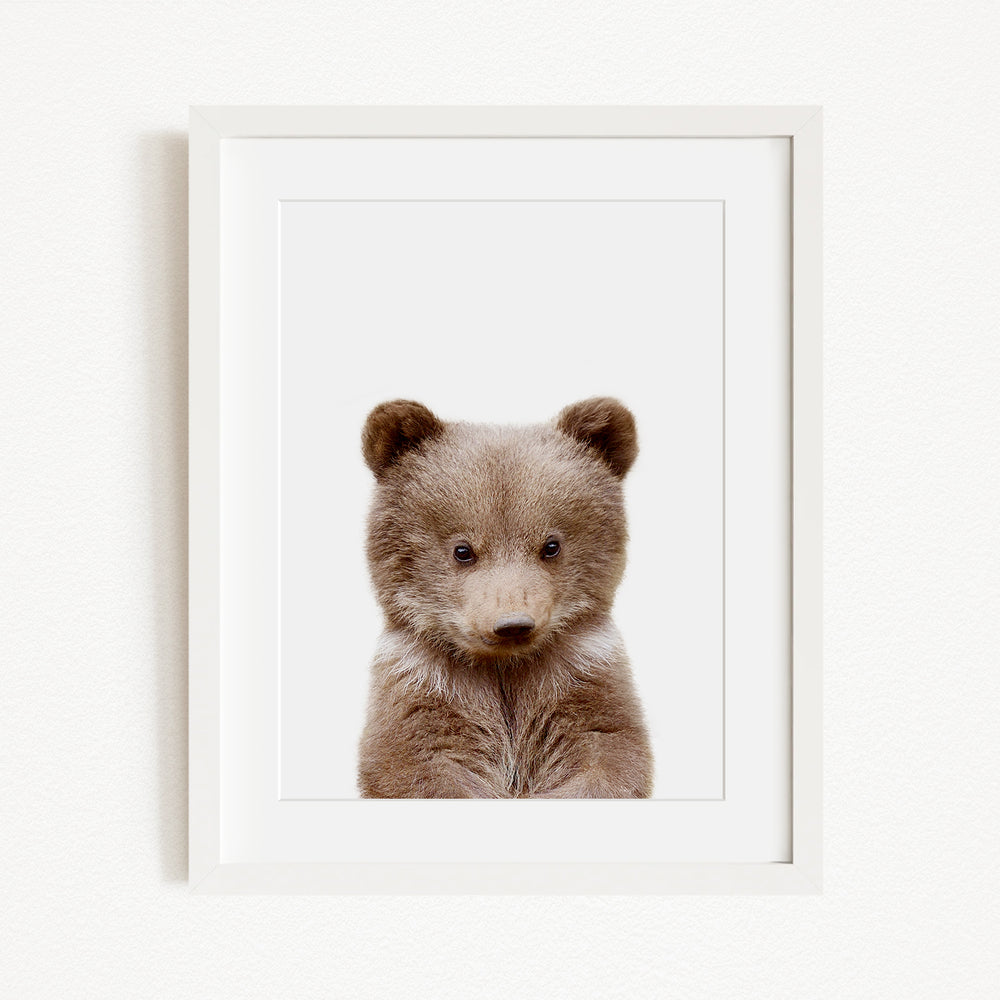 A framed photograph of a cute brown bear looking directly at the camera.
