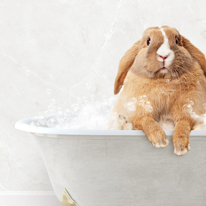 a rabbit sitting in a bathtub full of bubbles