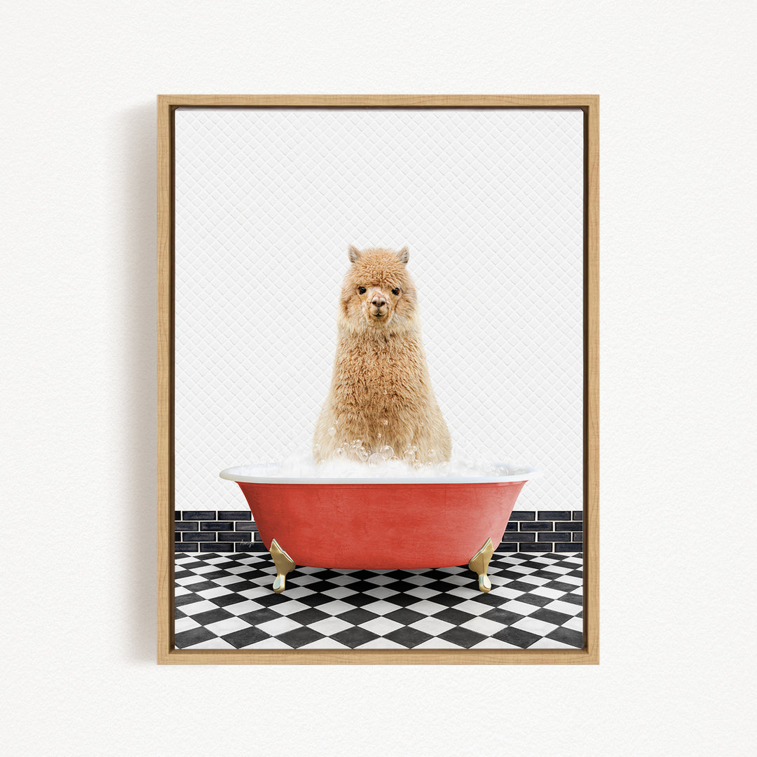 A fluffy alpaca sitting in a red bathtub filled with bubbles, surrounded by a black and white checkered floor.