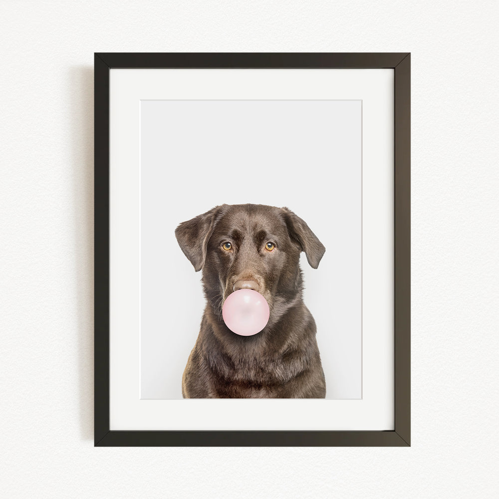 A brown dog is blowing a bubble with a pink bubble gum bubble.