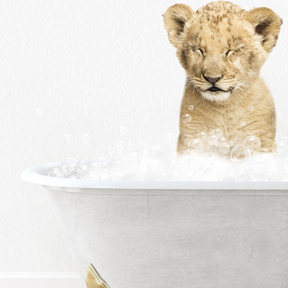 a lion cub sitting in a bathtub filled with bubbles