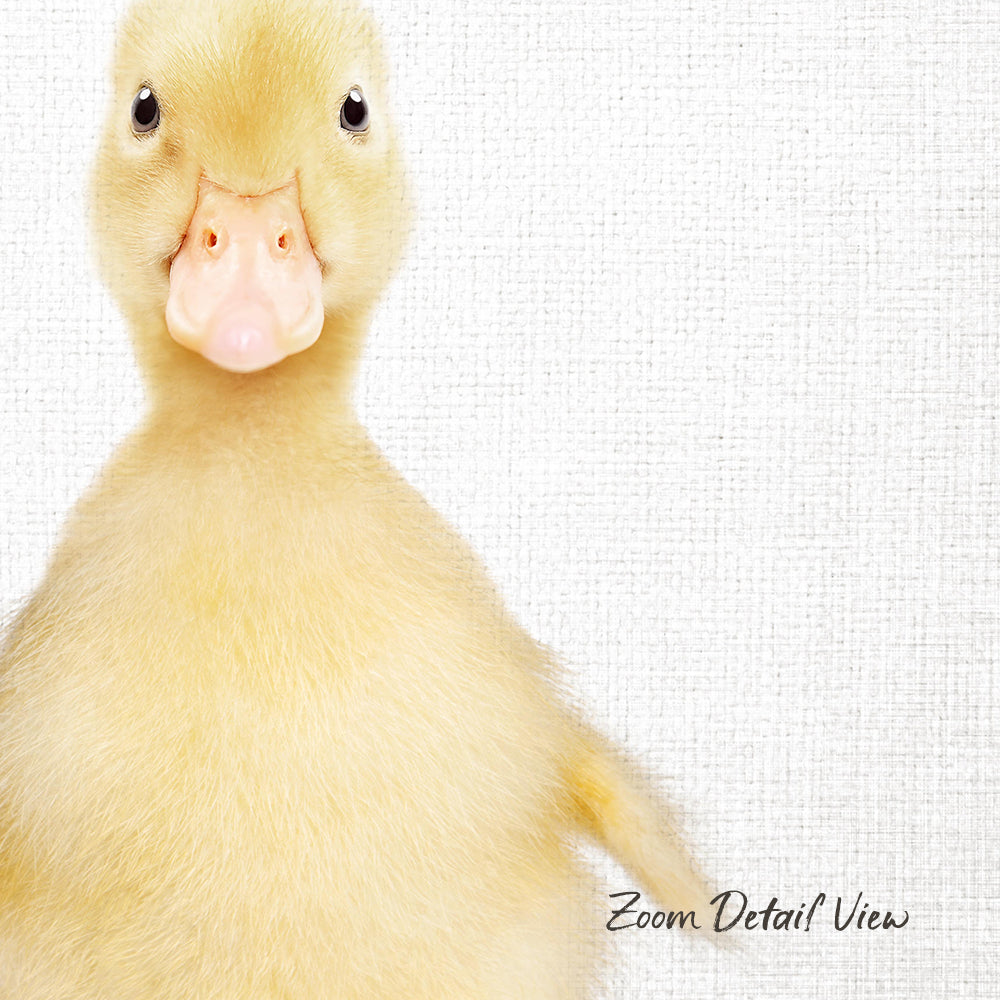 A close-up portrait of a cute, yellow duck with a pink beak, looking directly at the camera against a plain white background.