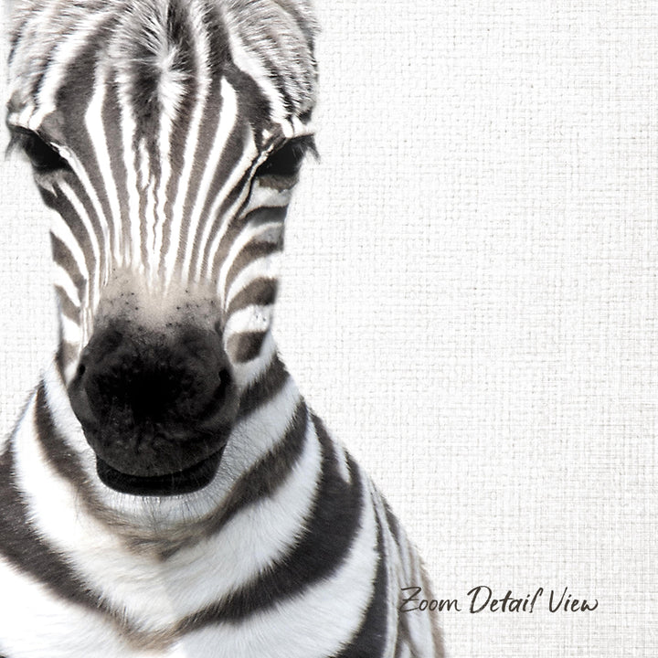 A close-up of a zebra's face, with its distinctive black and white striped pattern clearly visible.