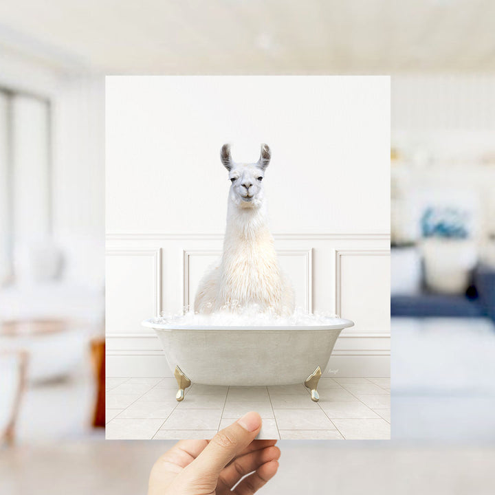 A white llama sitting in a white bathtub filled with bubbles, with a blurred background suggesting a bathroom setting.
