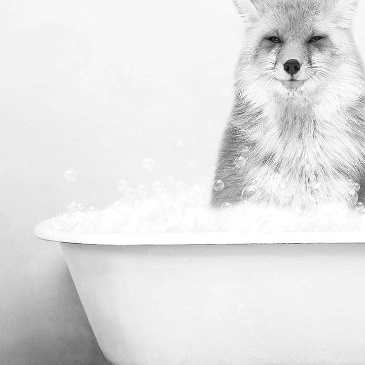 a black and white photo of a fox in a bathtub