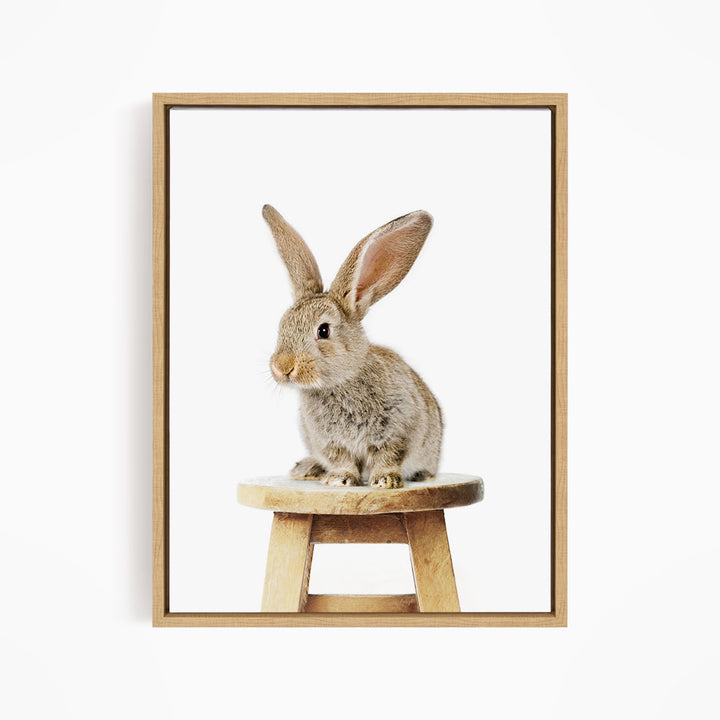 A cute, fluffy rabbit sits on a wooden stool, looking directly at the camera.