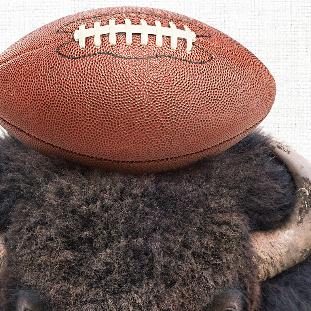 a bison with a football on its back