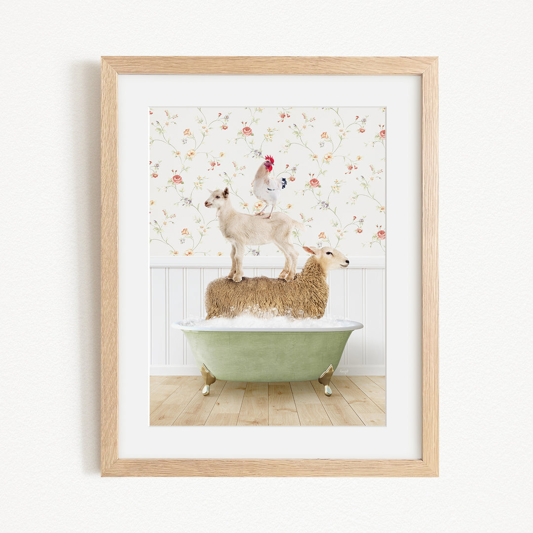A framed image depicting a sheep standing on a bathtub, with a rooster perched on top of the sheep.