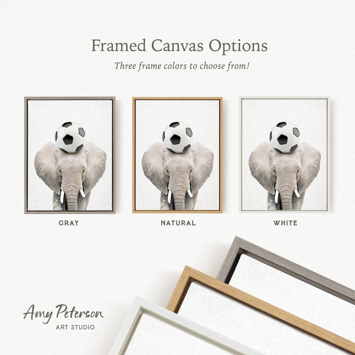 three framed canvas options featuring a gray elephant holding a soccer ball on its head.
