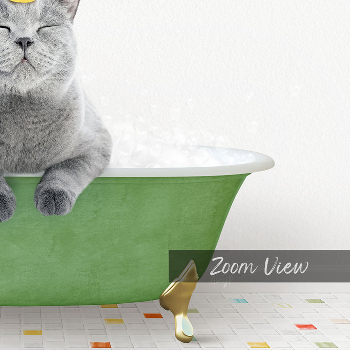 A gray cat sitting in a green bathtub filled with bubbles, with a text overlay that reads "Zoom View".