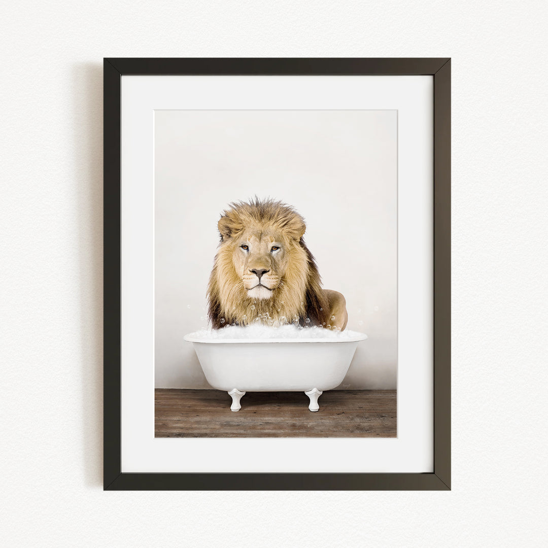 A lion sitting in a white bathtub filled with water, looking directly at the camera.
