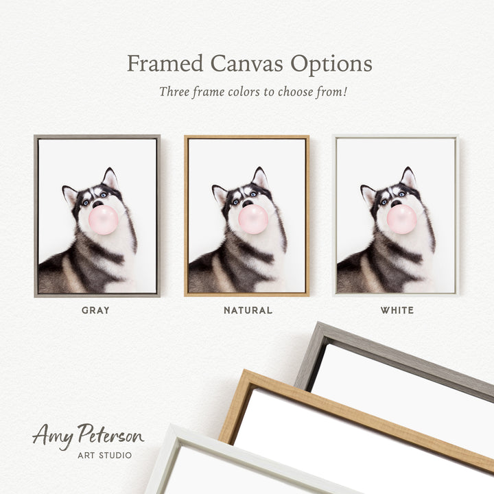 three framed canvas options for a picture of a dog blowing a bubble with a bubble gum bubble. The options include a gray frame, a natural frame, and a white frame.