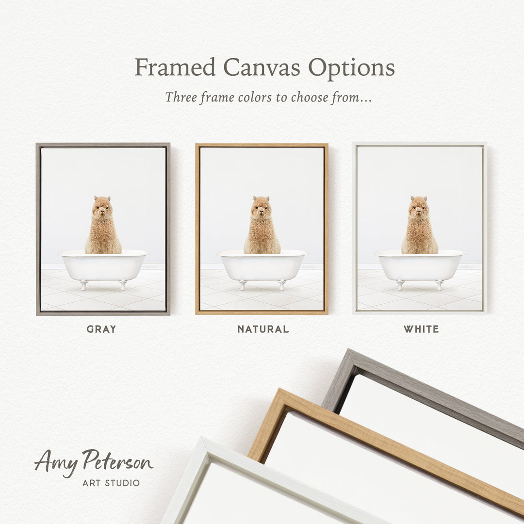 three framed canvas options, each featuring a small brown dog sitting in a white bathtub. The options include a gray frame, a natural frame, and a white frame.