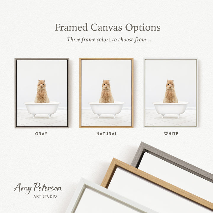 three framed canvas options, each featuring a small brown dog sitting in a white bathtub. The options include a gray frame, a natural frame, and a white frame.