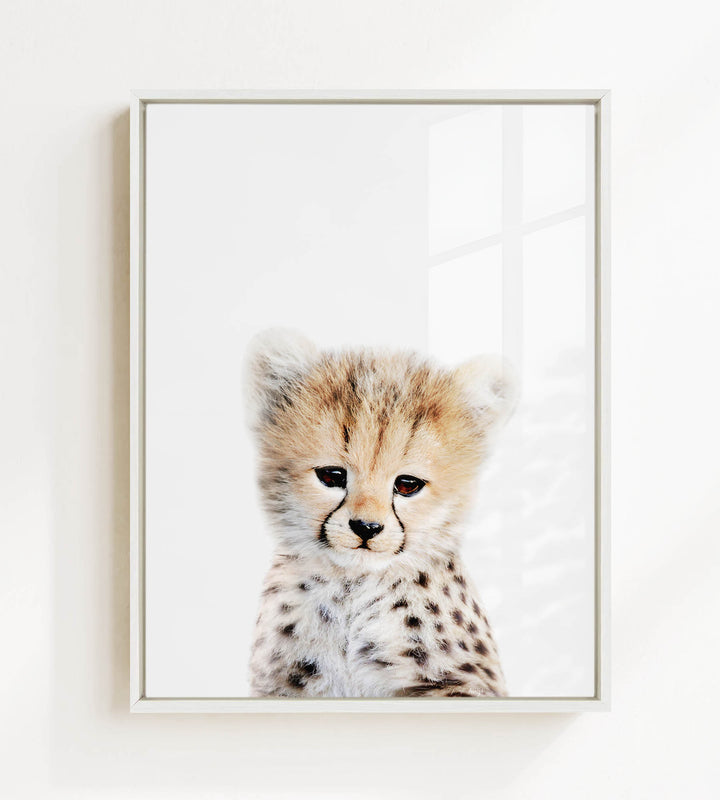 A young cheetah with a spotted coat gazes directly at the camera, its eyes full of curiosity and alertness.