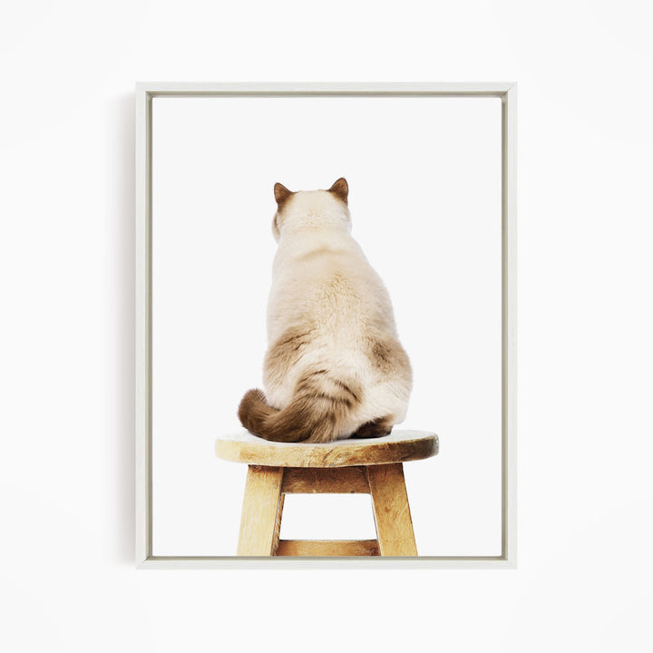 A Siamese cat is sitting on a wooden stool, facing away from the camera.