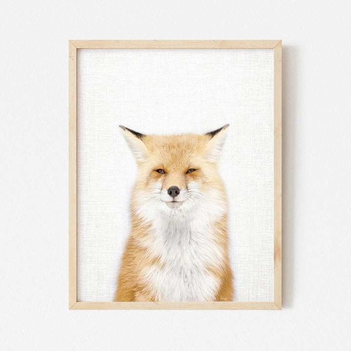 a picture of a red fox in a wooden frame