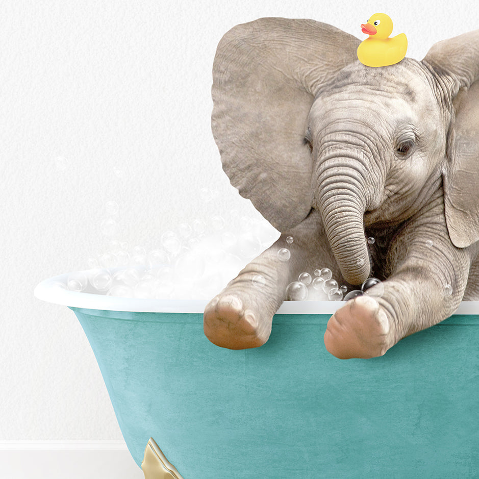 an elephant in a bathtub with a rubber ducky on its head