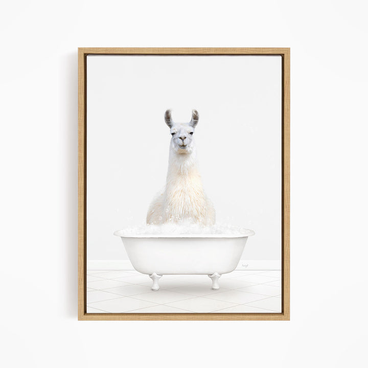 A white llama sitting in a white bathtub filled with bubbles.