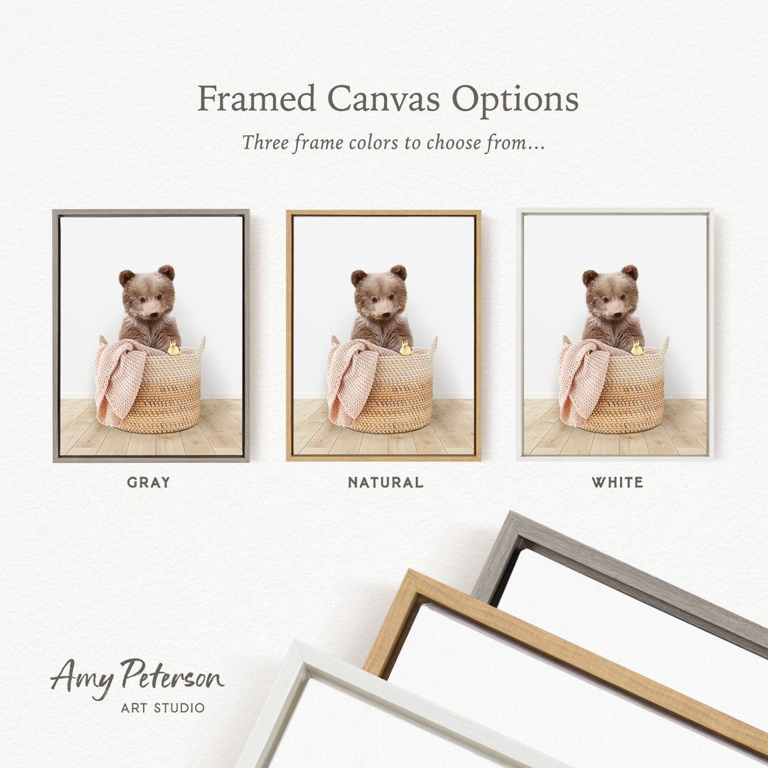 three framed canvas options, each featuring a brown teddy bear sitting in a basket. The options include a gray frame, a natural frame, and a white frame.