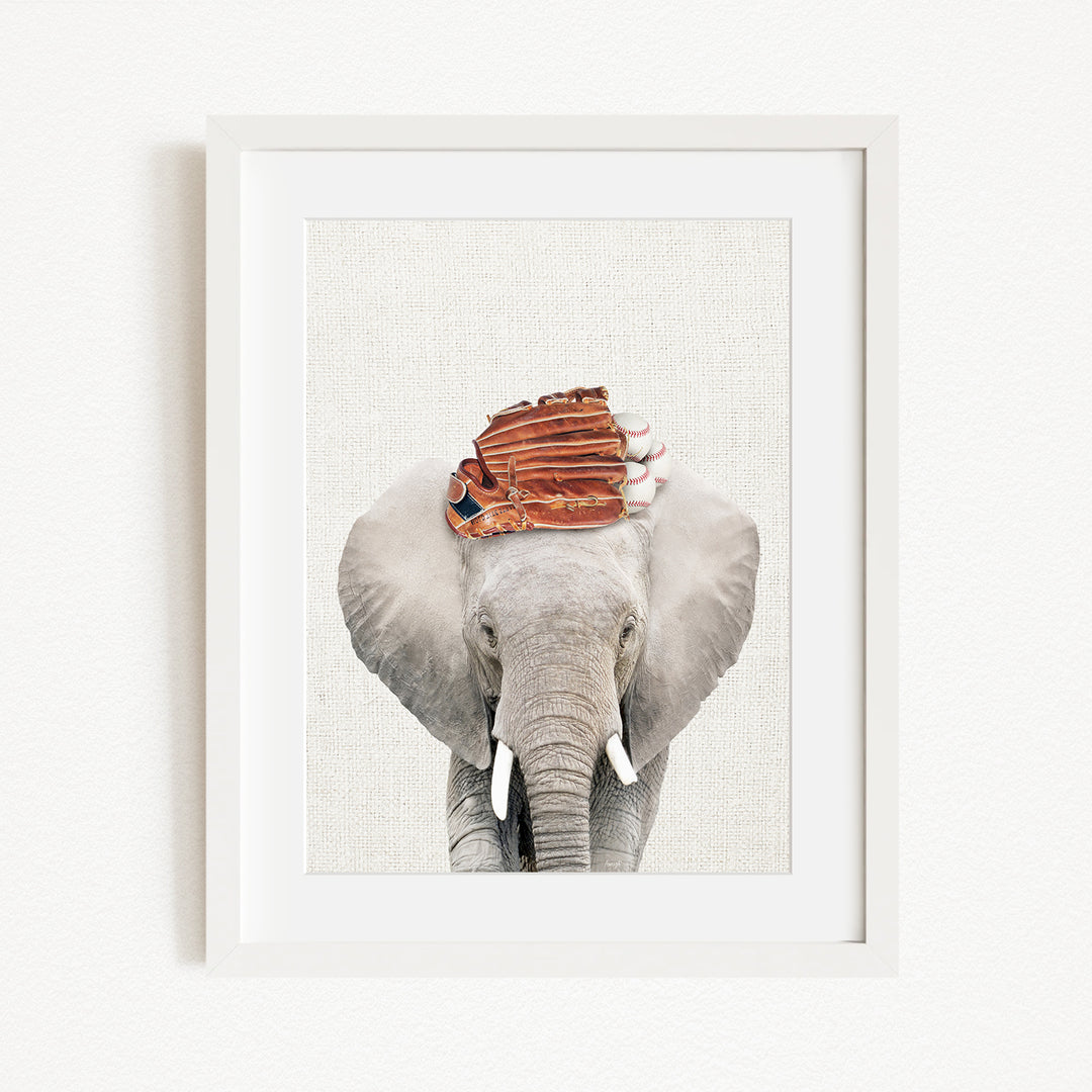 A framed photograph of an elephant wearing a baseball cap.