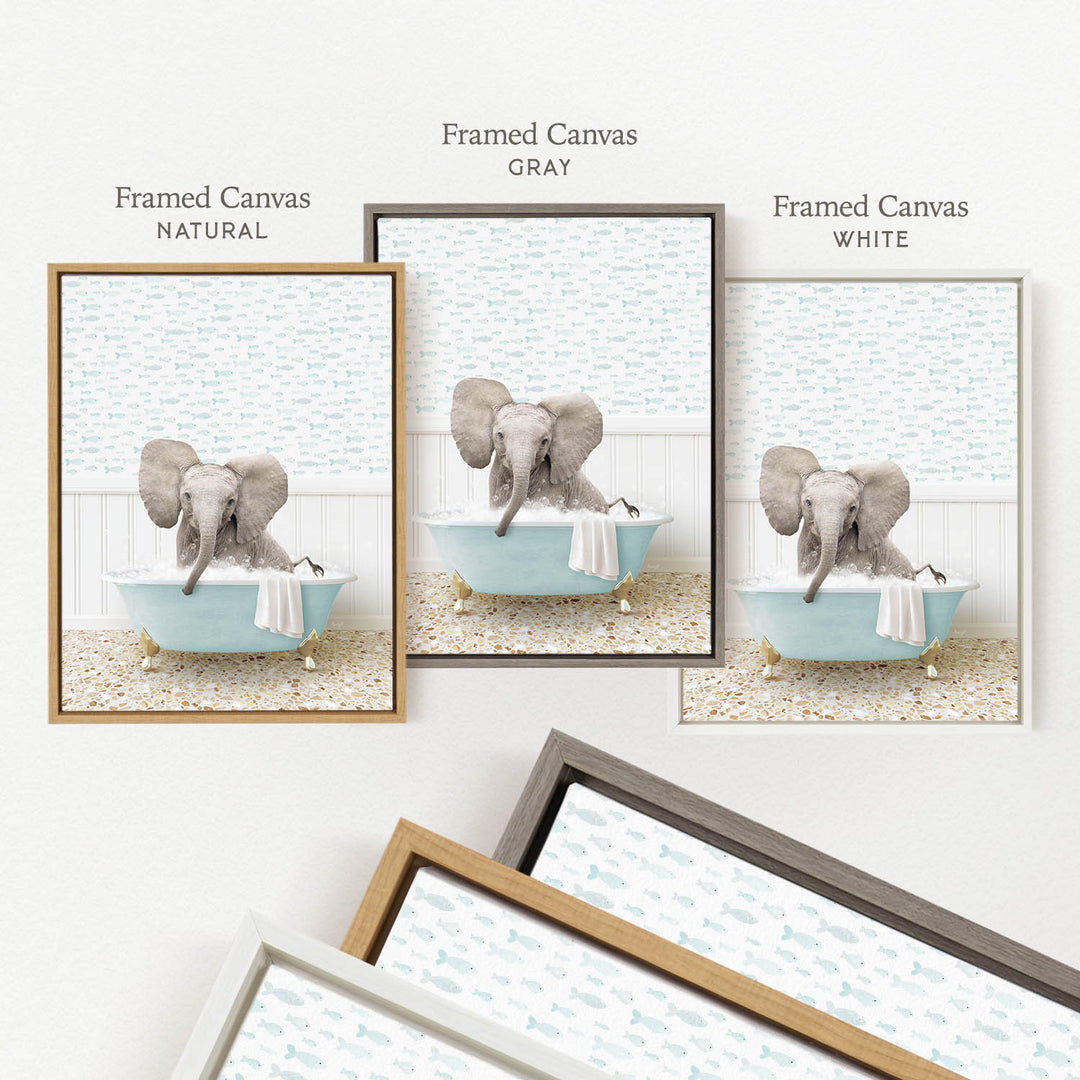 three framed pictures of an elephant sitting in a bathtub, each with a different color frame.