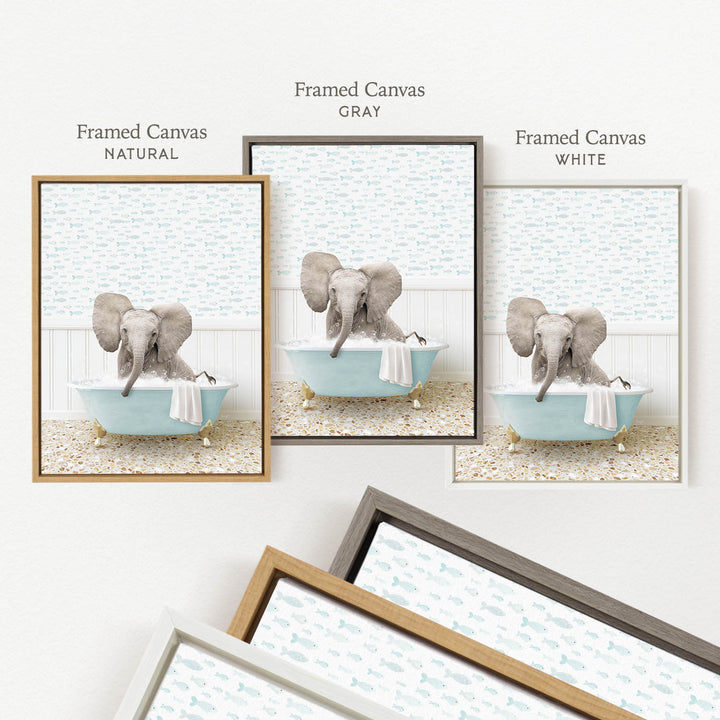 three framed pictures of an elephant sitting in a bathtub, each with a different color frame.