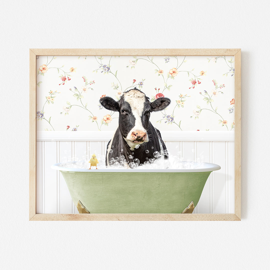 a black and white cow sitting in a bathtub