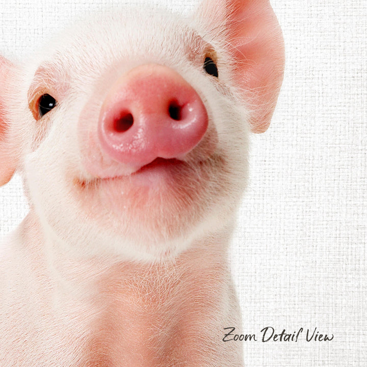 A close-up portrait of a cute, pink pig with a pink nose and pink ears, looking directly at the camera with a friendly expression.