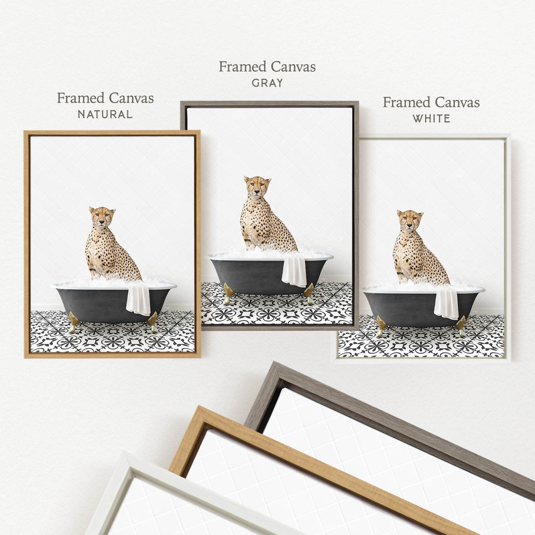three framed prints of a cheetah sitting in a bathtub, each with a different color frame.