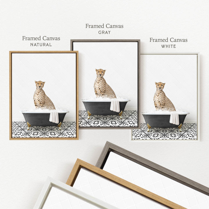 three framed prints of a cheetah sitting in a bathtub, each with a different color frame.