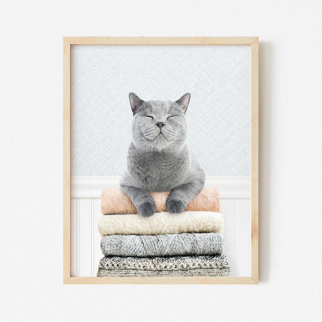 a gray cat sitting on top of a pile of blankets