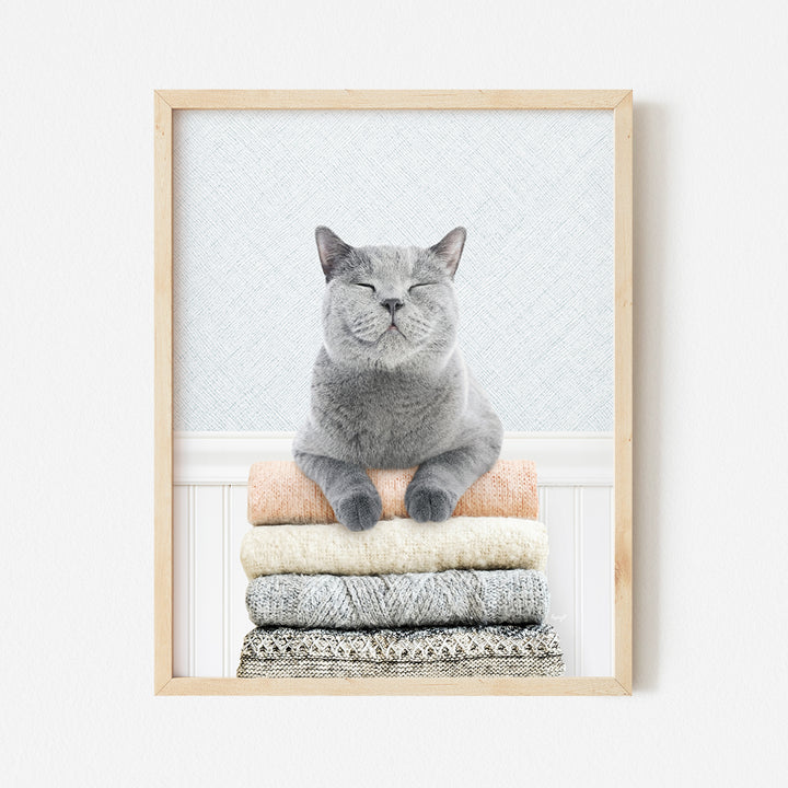 a gray cat sitting on top of a pile of blankets