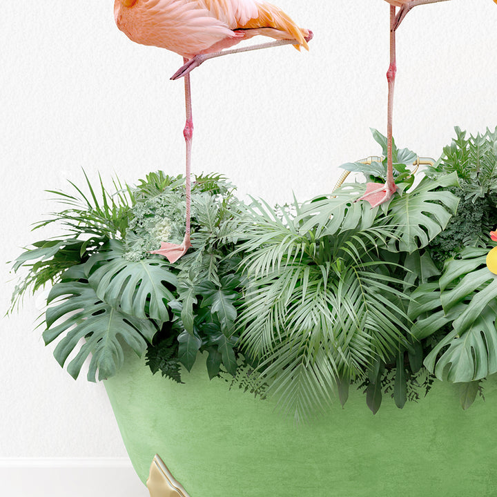 two flamingos are standing on top of a plant