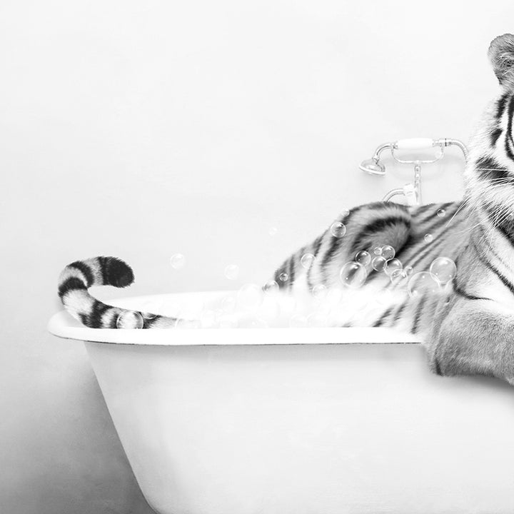 a black and white photo of a tiger in a bathtub