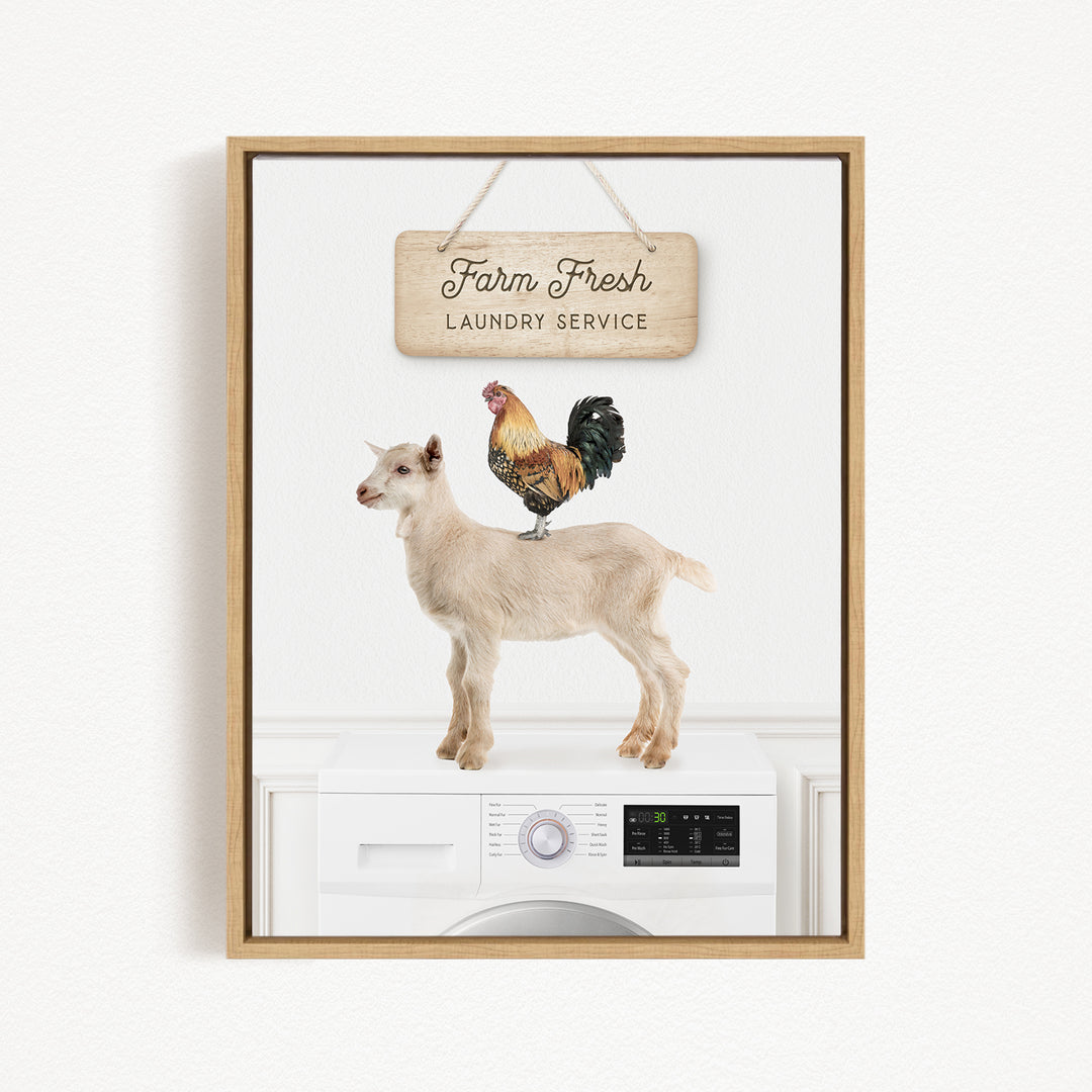 a goat standing on top of a washing machine, with a rooster perched on its back. Above the washing machine, there is a wooden sign that reads "Farm Fresh Laundry Service".