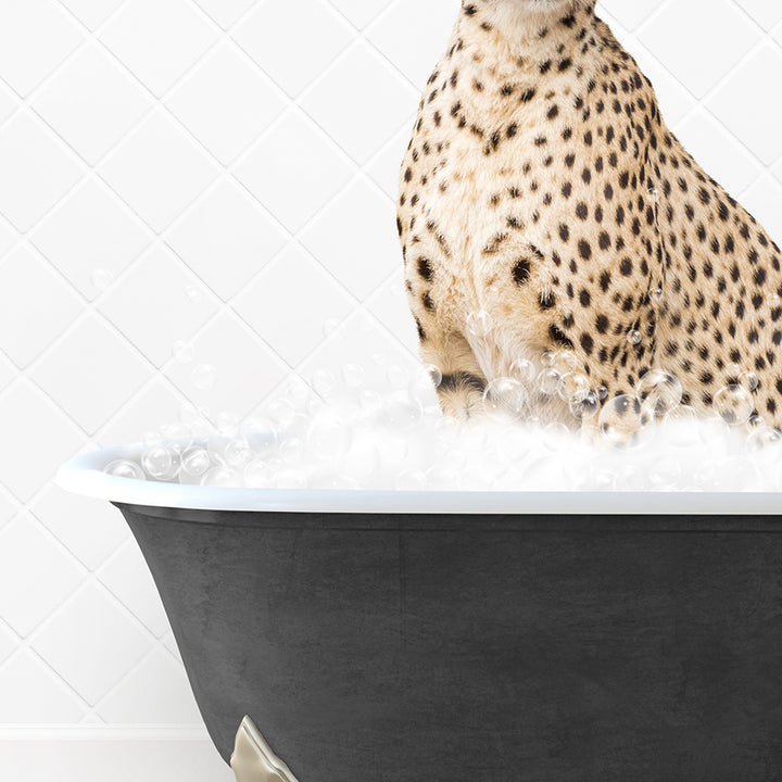 a cheetah sitting in a bathtub full of foam