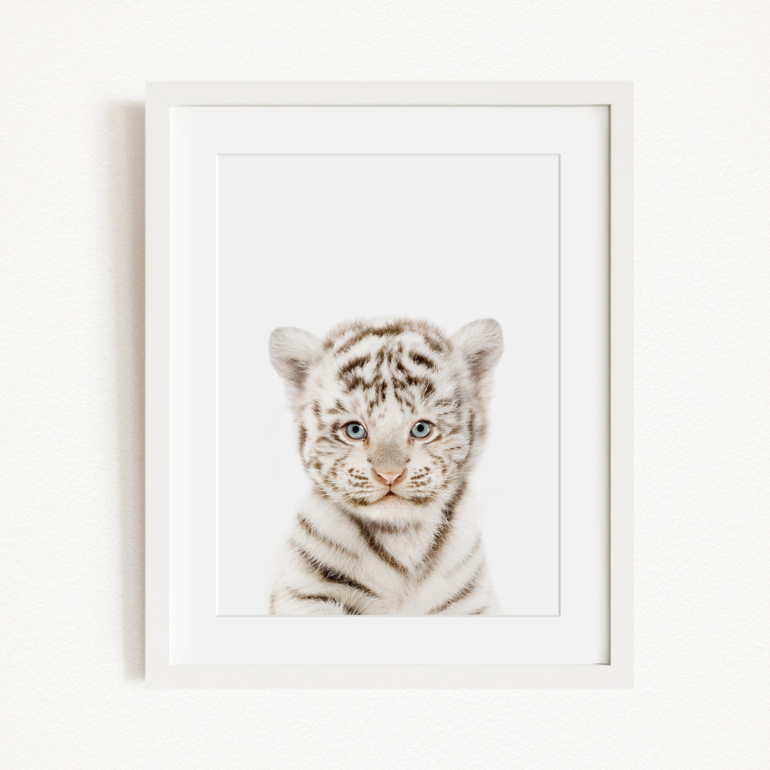 A young tiger cub with striking blue eyes and a playful expression is the focal point of the framed image.