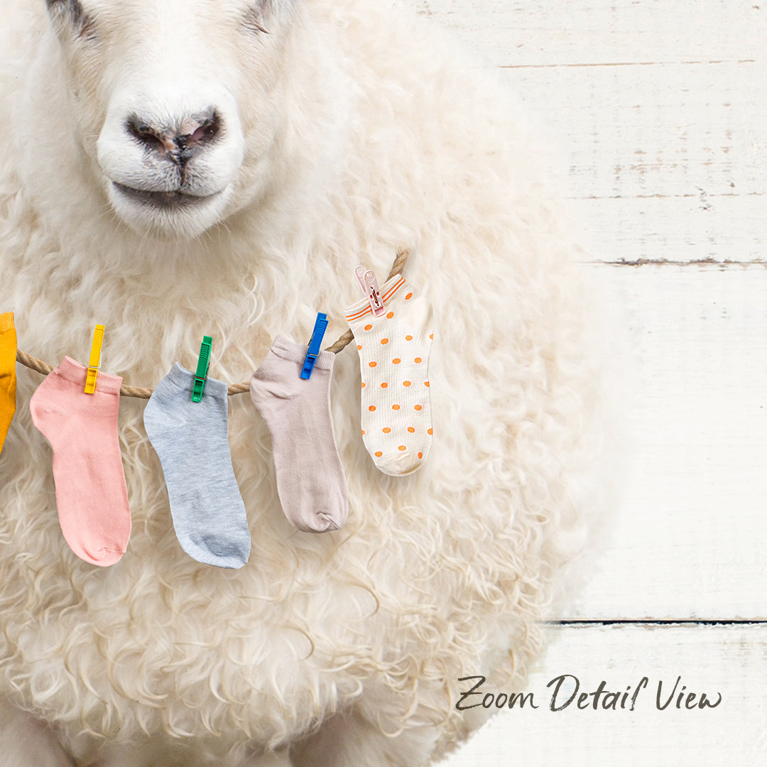 A fluffy white sheep with colorful socks hanging on a clothesline.