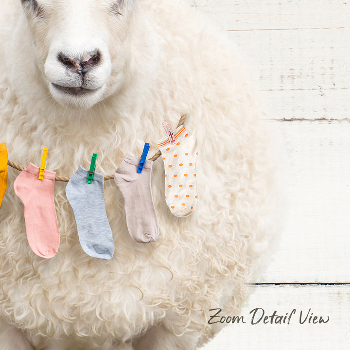 A fluffy white sheep with colorful socks hanging on a clothesline.