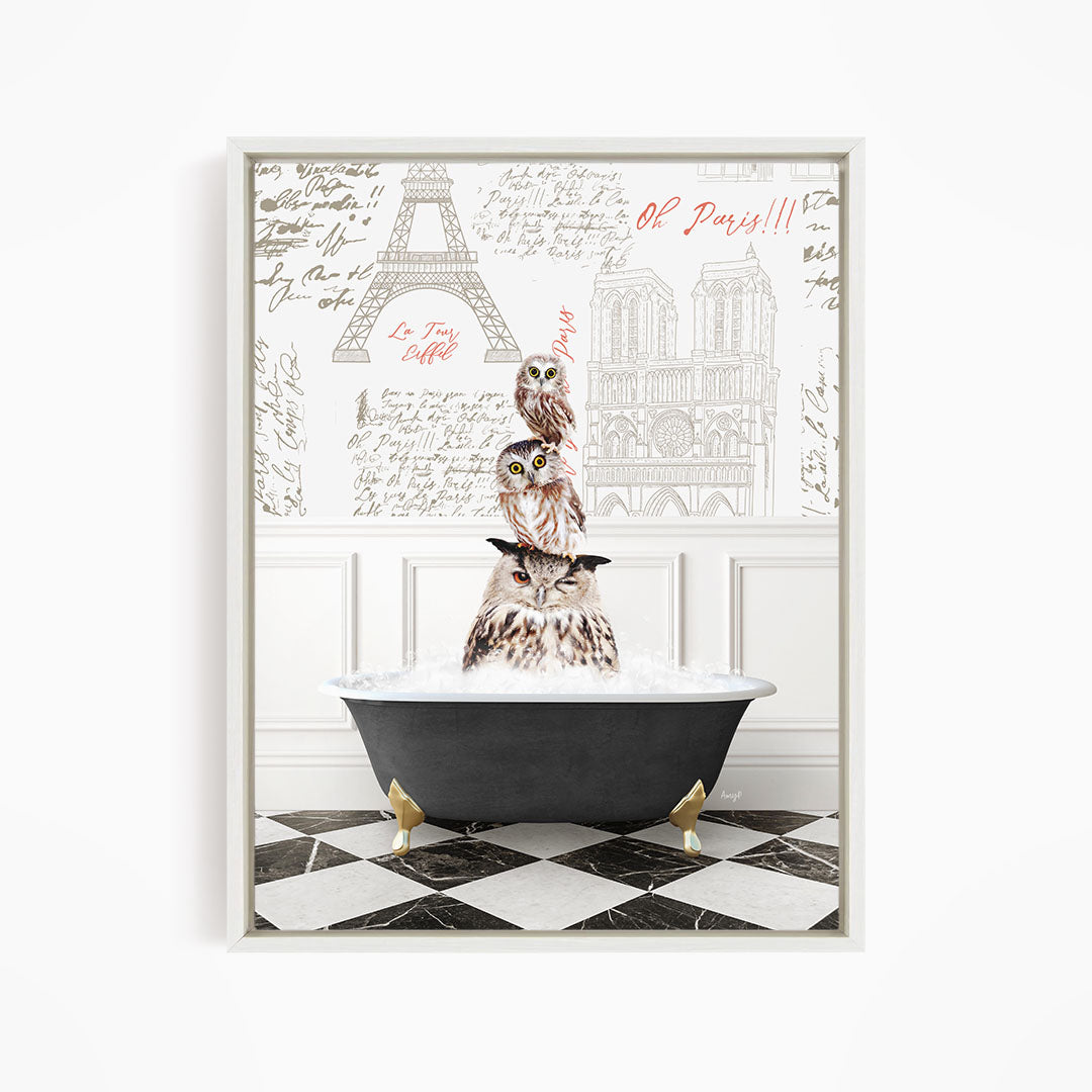 A framed image depicting two owls sitting in a bathtub, with the Eiffel Tower and other Parisian landmarks visible in the background.