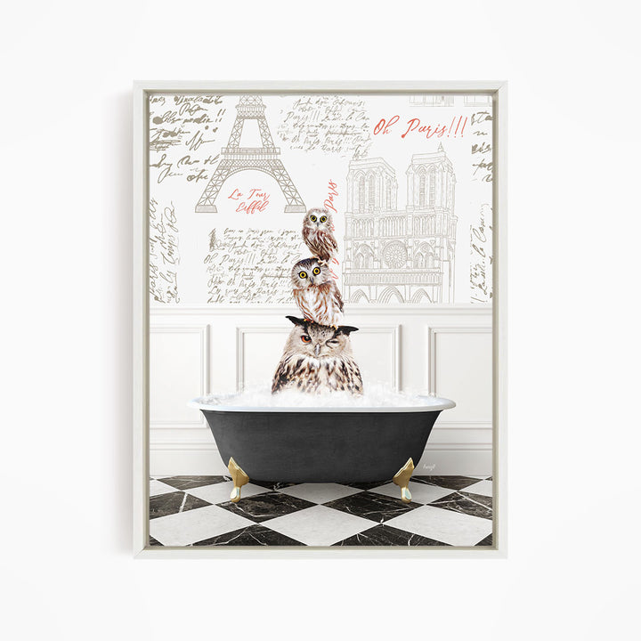 A framed image depicting two owls sitting in a bathtub, with the Eiffel Tower and other Parisian landmarks visible in the background.