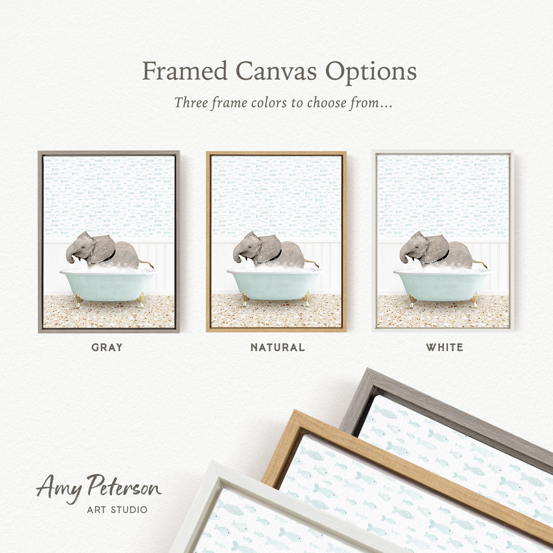 three framed canvas options, each featuring a different color: gray, natural, and white. The text above the images reads " Framed Canvas Options" and "Three frame colors to choose from...". The bottom of the image includes the text " Amy Peterson ART STUDIO".