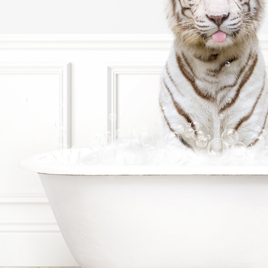 a white tiger sticking its tongue out in a bathtub